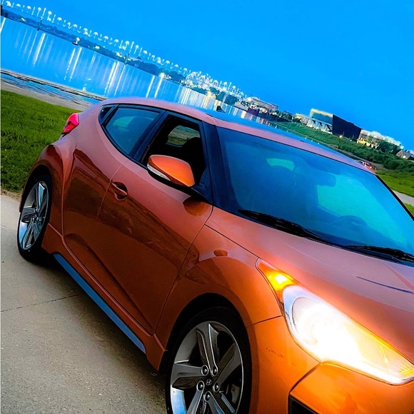 Meet your Posher, Tj - Picture 12 of 15